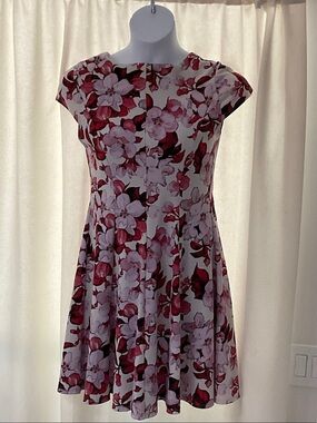 Floral Fit & Flare Mini Dress in Pink and White